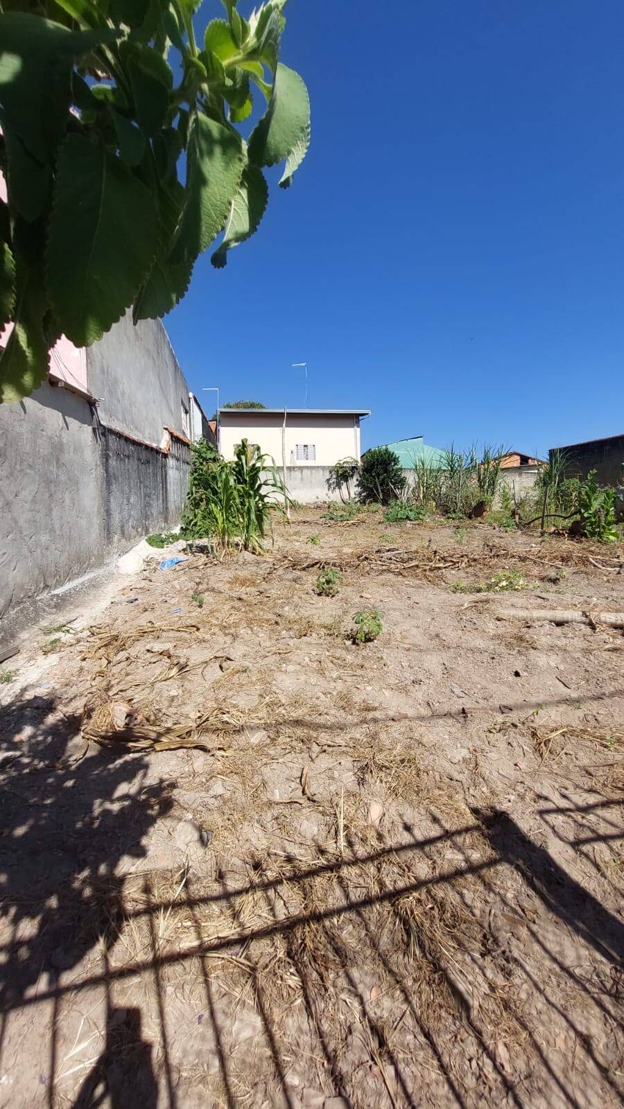 Terreno 1