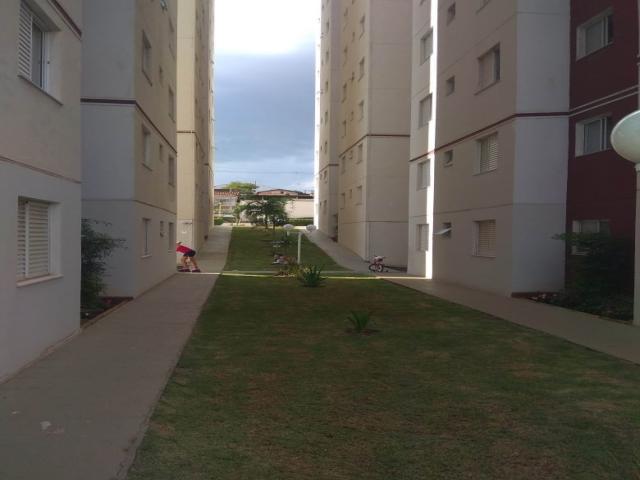 Apartamento para Venda em Campinas - 4