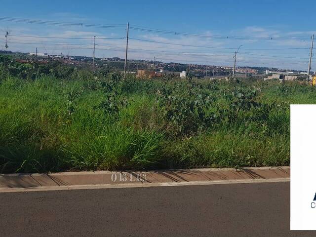 #1606 - Terreno para Venda em Hortolândia - SP - 3