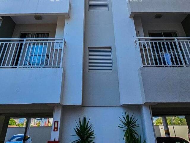 #1803 - Apartamento para Locação em Hortolândia - SP - 1